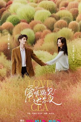 大连网站建设优化套餐